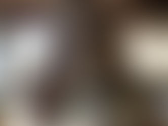 オーラとヒカルで放牧なう