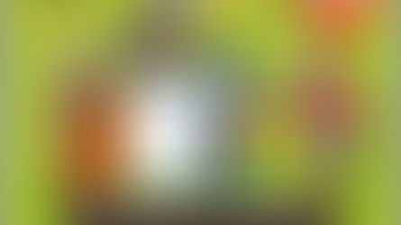 19. Frankfurter Kinderliedermacherfestival gastiert in Oberursel