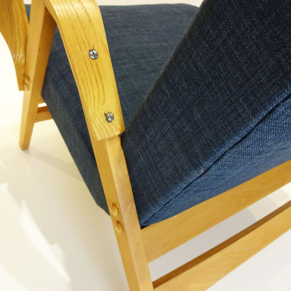 Thumbnail: Retro bentwood armchair