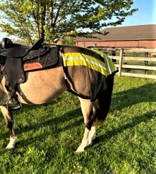 Thumbnail: Safety Shield