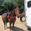 Thumbnail: Faceless Horsehoodie