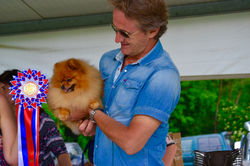 Gagà 1° BEST IN SHOW