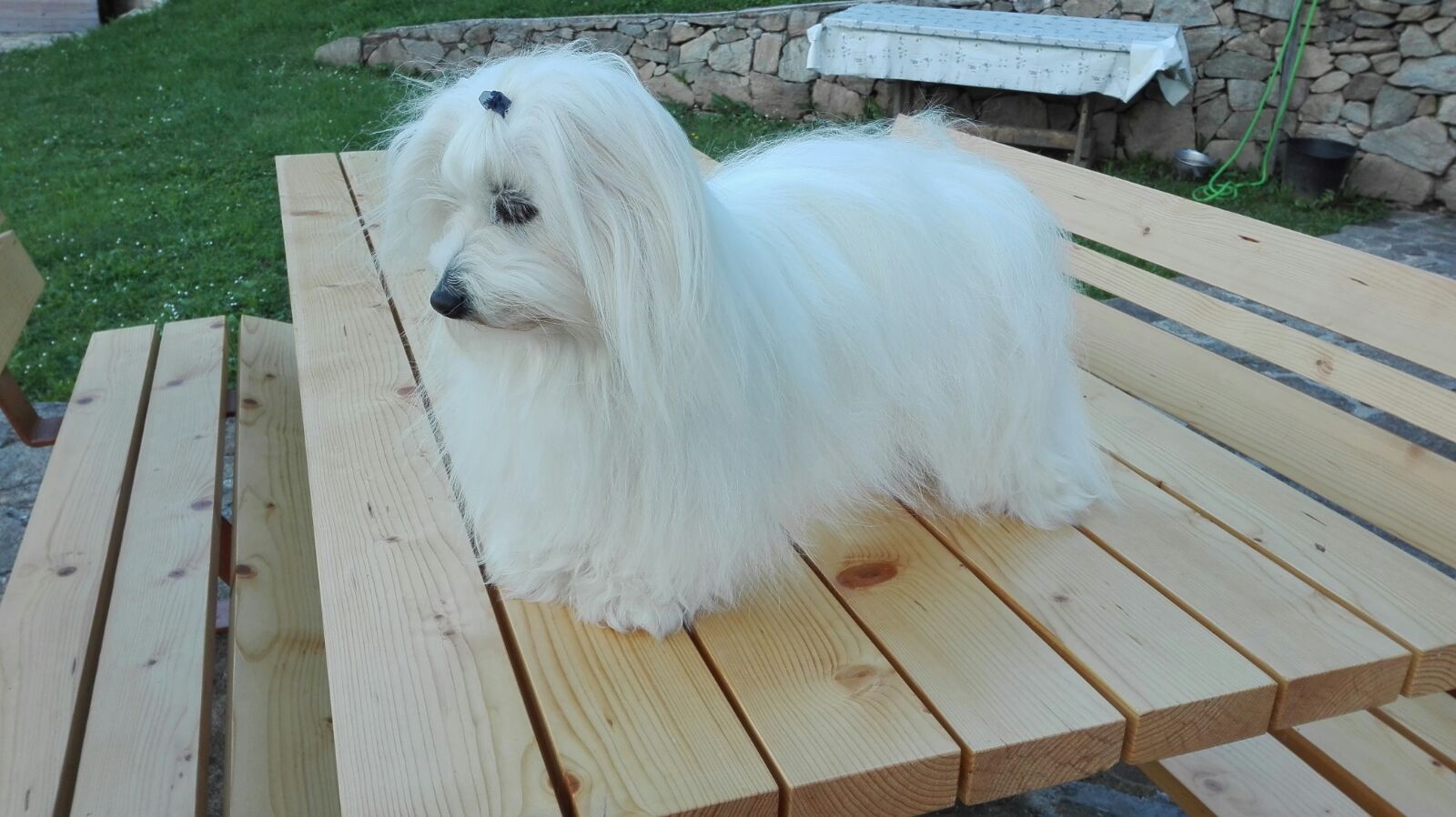 Alika LoveandCoton 2014 -Trentino Alto Adige
