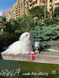 Ophelia trofeo19.jpg
