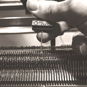 PXL_20240714_132627704 (1)_edited.jpg