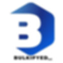 Bulkifyed LLC Logo JPG.jpg
