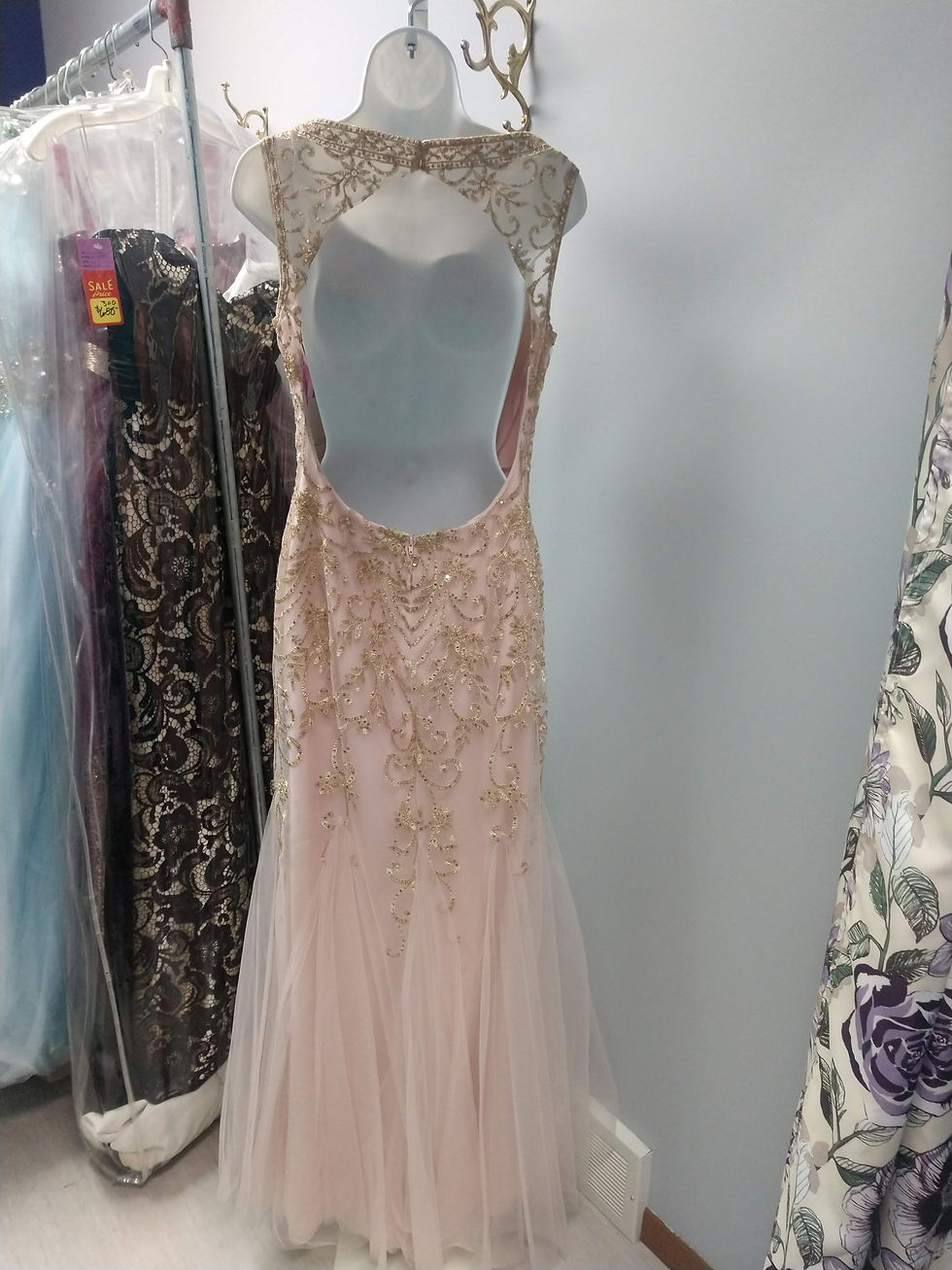 Thumbnail: Colette Mon Cheri Bateau Neck Prom Dress in Blush/Champagne