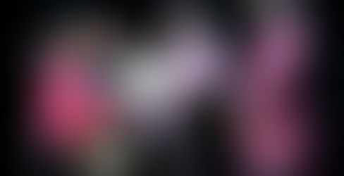 Encuentro Estatal de Salas de Lectura