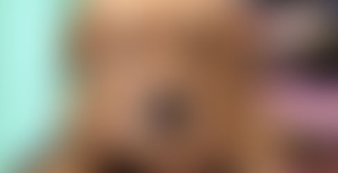 Gobierno de Mineral de la Reforma atiende el reporte de un Canino en abandono.