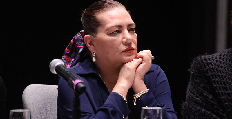 El Sistema Nacional de Elecciones funciona: Guadalupe Taddei.