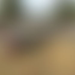 Transforma SIPDUS entorno urbano en localidad de San Salvador.