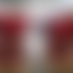 Saderh entrega en Tlanchinol  herramientas con una inversión de 4 millones