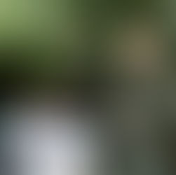 Julio Menchaca entrega dos millones de plantas para reforestar los 84 municipios