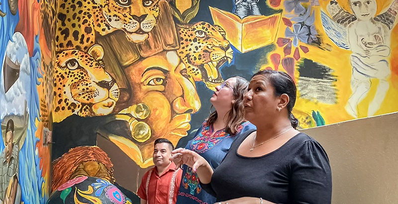 Biblioteca de Actopan resguarda obras internacionales.