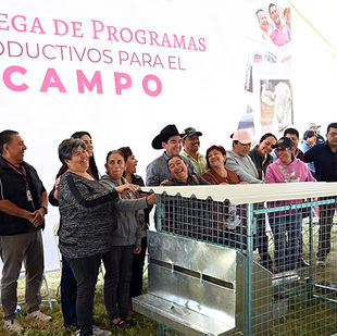 Destina gobierno de Hidalgo más de 3 mdp en apoyos agrícolas, acuícolas y avícolas
