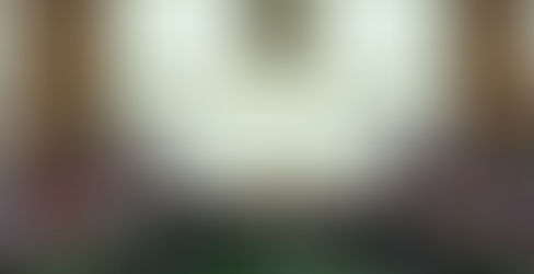 INE pide que gobiernos y congresos estatales salgan al rescate de OPLES.