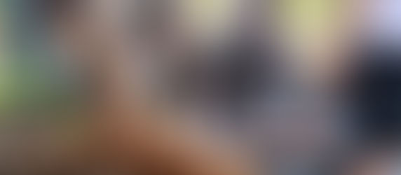 Atención oportuna y gratuita, clave para contener al gusano barrenador