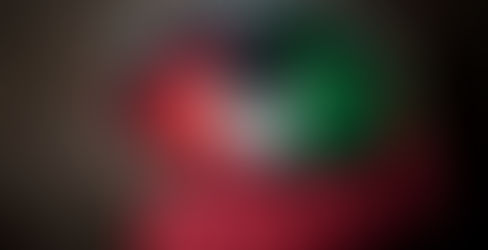 Con “Fiesta mexicana”, celebran las fiestas patrias.