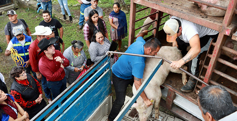2.9 millones de pesos fueron entregados a productores del municipio de Lolotla