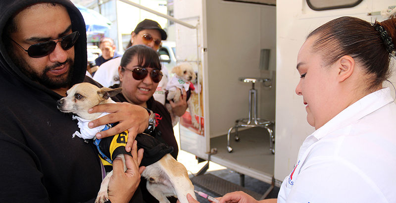 SSH se une a la conmemoración del Día Mundial contra la Rabia.