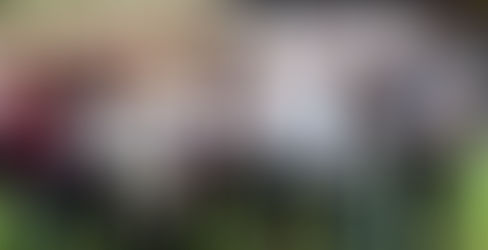 Reconoce Menchaca labor incluyente de empresas turísticas.