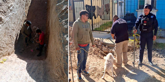 La dirección canina K9 de Mineral de la Reforma recata perro que cayó en una zanja.