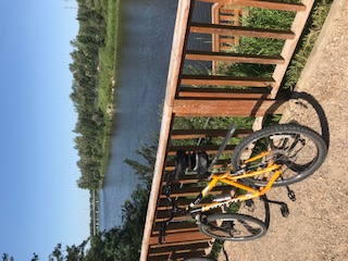CYCLING thru COVID-19-84