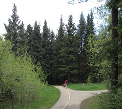 Springtime on our trails