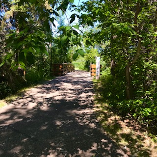 Cycling thru COVID-19-7