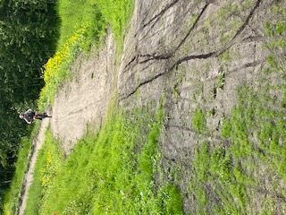 Cycling thru COVID-19-26