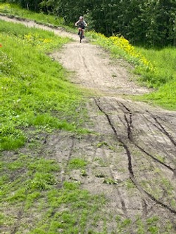 Cycling thru COVID-19-26