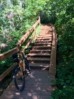 Cycling thru COVID-19-93