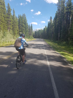 Cycling thru COVID-19-155