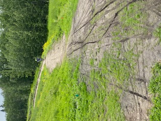 Cycling thru COVID-19-25