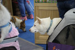 IMG_4946.JPG