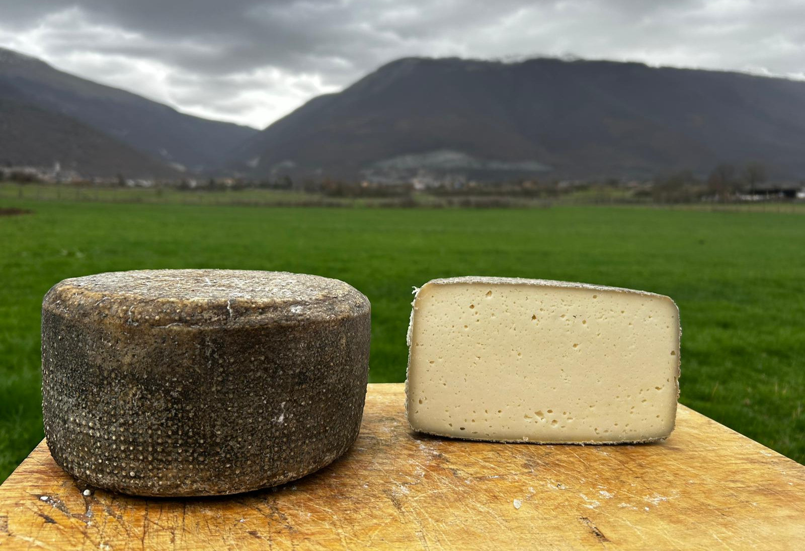 Pecorino semistagionato 500g