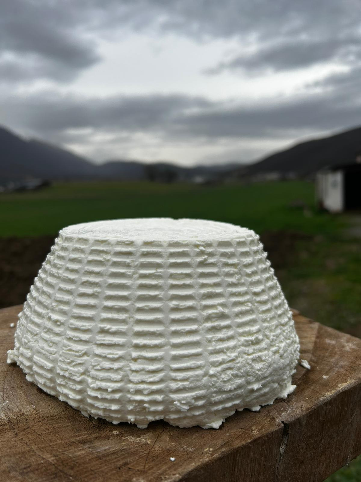 Ricotta Fresca
