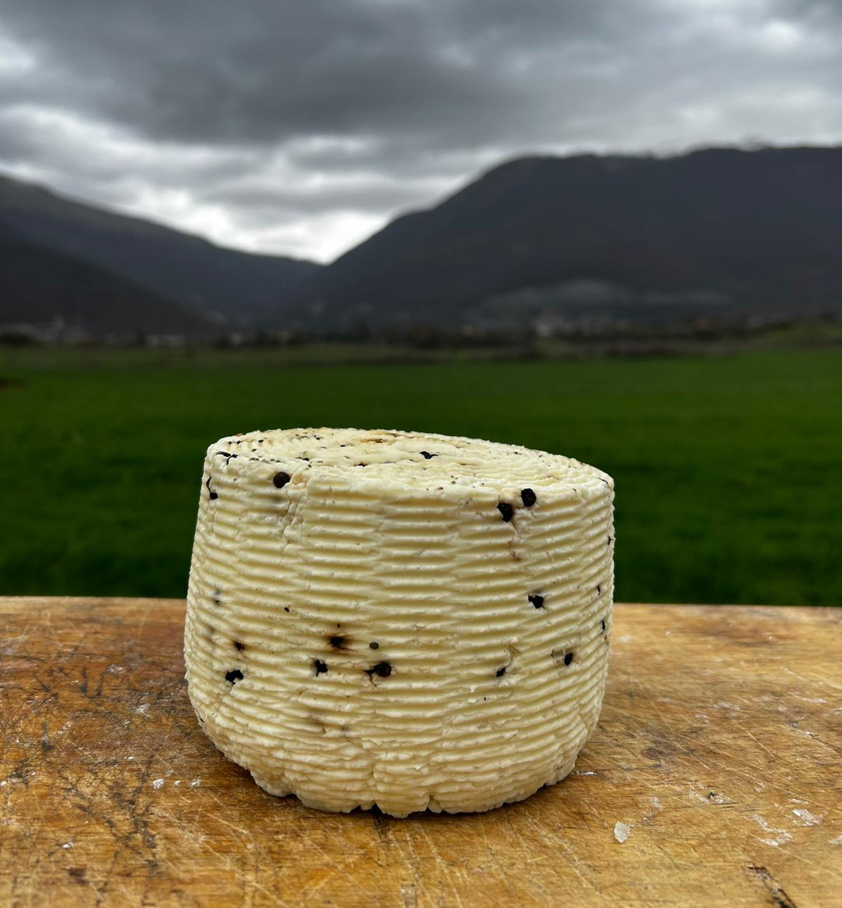Formaggio pecorino al pepe nero 500g