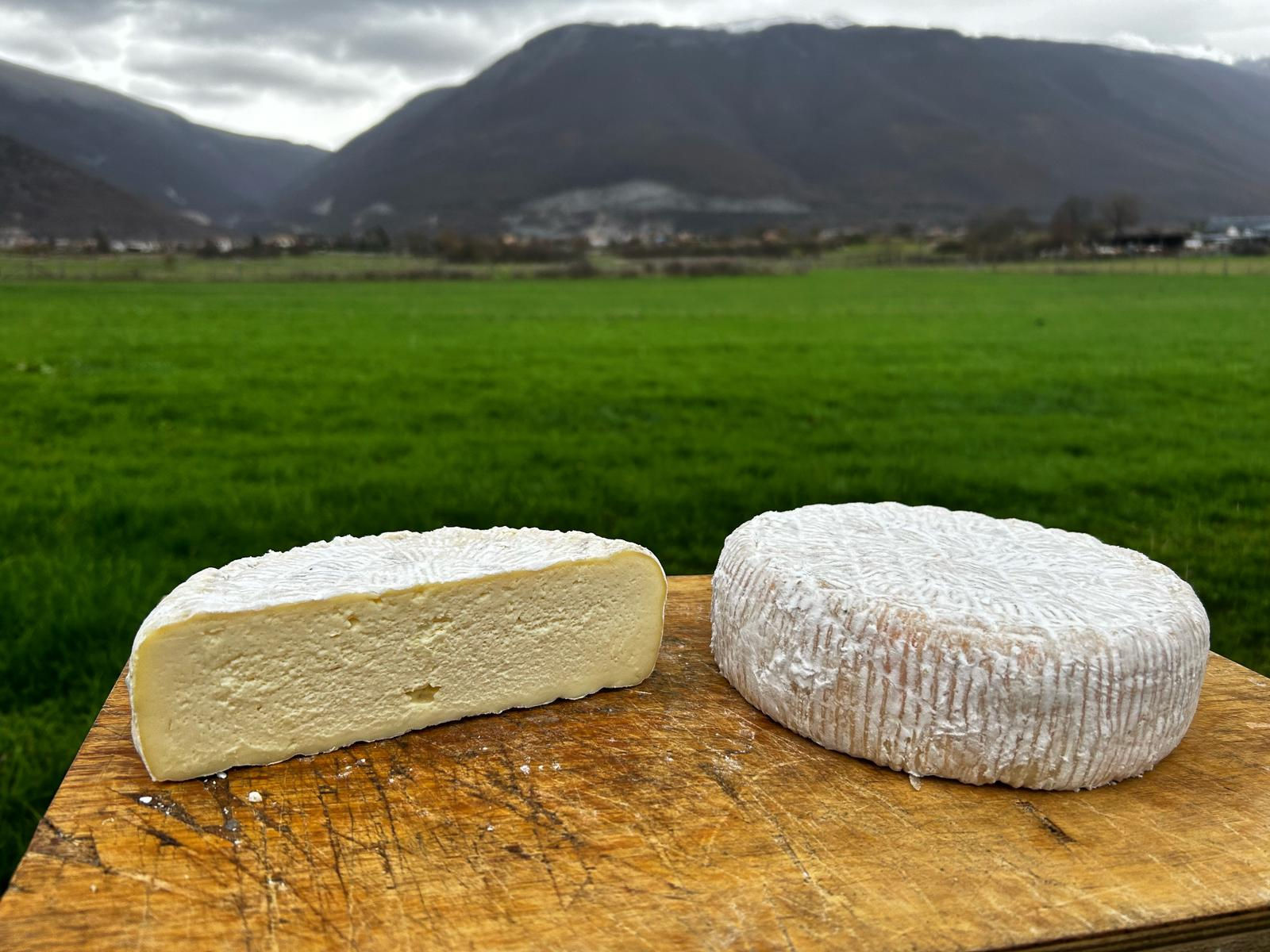 Stracchino di pecora 500g