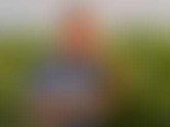 SEGUROS PARA AGRICULTORES: PROTEGENDO SUA PRODUÇÃO E INVESTIMENTOS