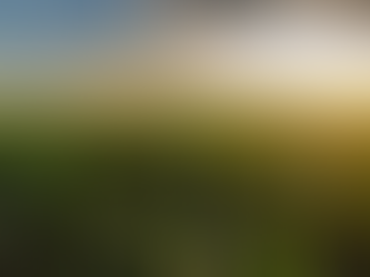 O Brasil precisa modernizar o seguro agrícola para garantir o futuro do campo