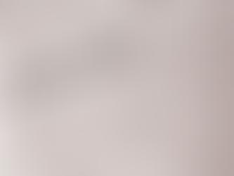 SEGURO GARANTIA JUDICIAL: UMA SOLUÇÃO ESTRATÉGICA PARA EMPRESAS EM DISPUTAS JUDICIAIS