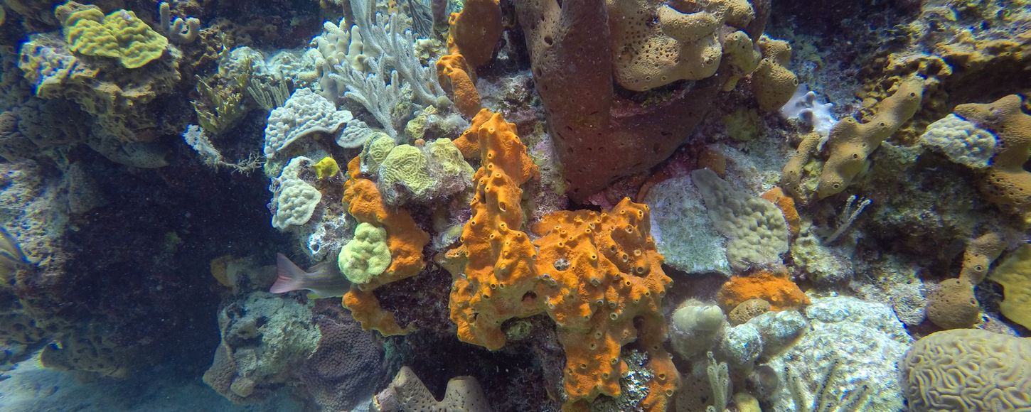 GOPR6038.jpg