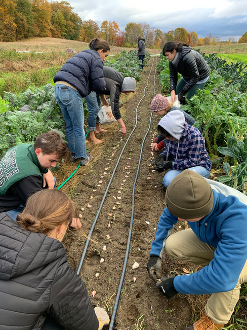 FARM | Dartmouth Sustainability