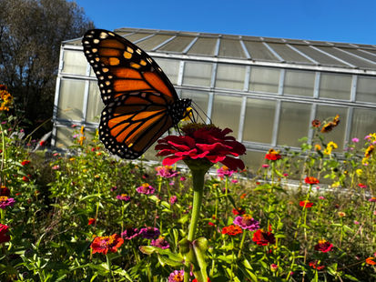 **THIS WEEK IN SUSTAINABILITY: September 29th - October 4th, 2026**