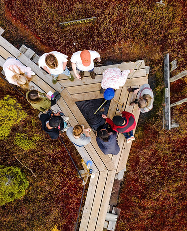 20231025-physiologicalecology-aerial-cj-03 (1).jpg