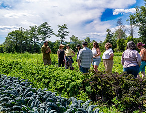 07.20.26_EdgewaterFarm_15.jpg