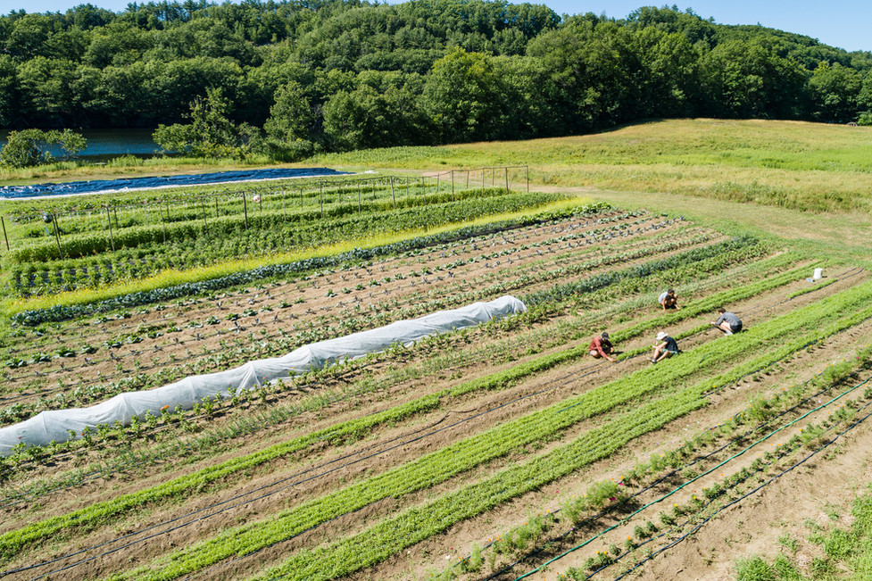 FARM Dartmouth Sustainability