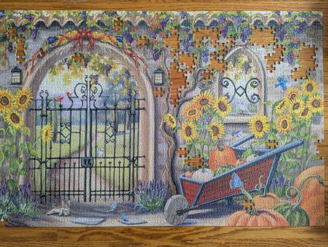 A Puzzle Built From Missing Pieces: A Student's Perspective on Climate Hope and Resiliency