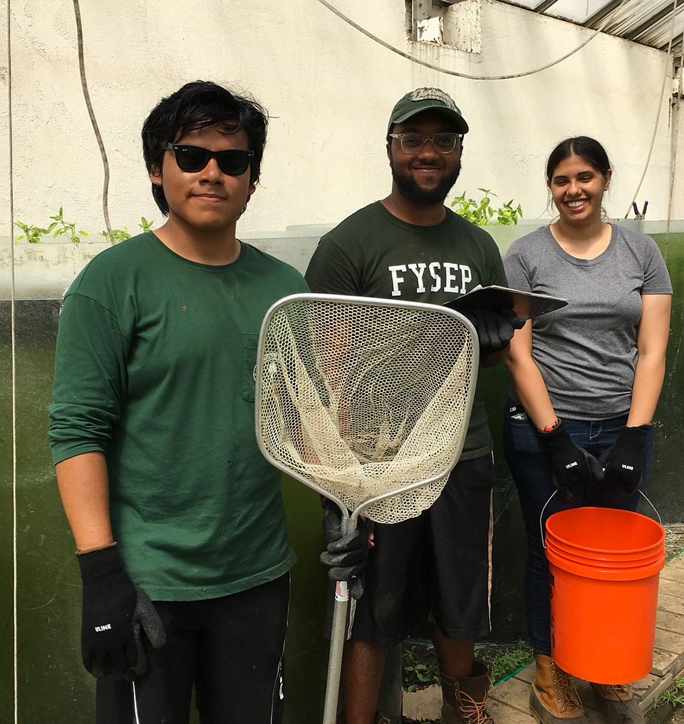 Fabulous Farm Interns!